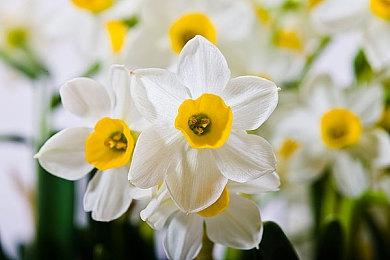 PlayStation5版《七龙珠Z 卡卡洛特》今日发售！全新DLC同步发布！